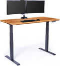 Vari Classic Electric Standing Desk by Vari