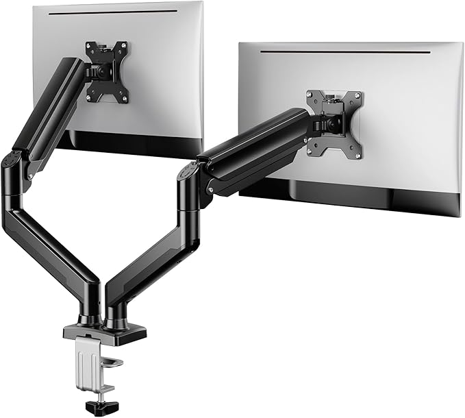 ErGear Dual Monitor Stand up to 33 inches Screen, Load-Bearing Max 22 lbs Each by ErGear