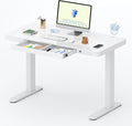 FLEXISPOT Comhar Electric Pure Glass Standing Desk by FlexiSpot