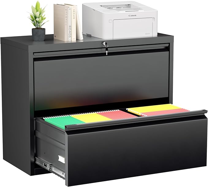 Greenvelly 2 Drawer File Cabinet, Metal Filing Cabinet by Greenvelly