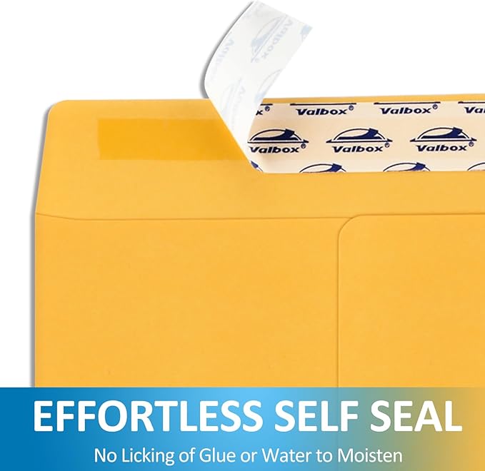 ValBox 6x9 Self Seal Catalog Security Envelopes 250 Count Small Brown Kraft - Image 3