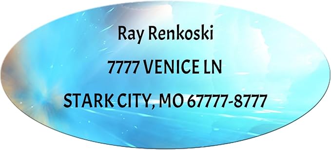 Made in USA Custom Return Address Stickers Labels Customized Mailing Label by HOOKAH+SUN