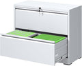 FLIXELIO File Cabinets 2 Drawer, Metal Office Storage Filing Cabinet by FLIXELIO