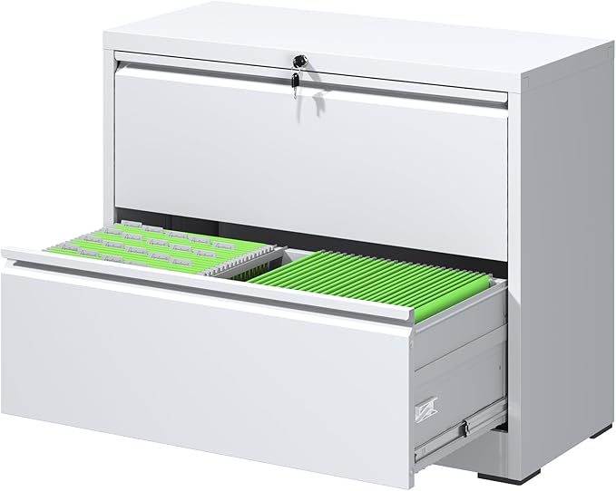 FLIXELIO File Cabinets 2 Drawer, Metal Office Storage Filing Cabinet by FLIXELIO