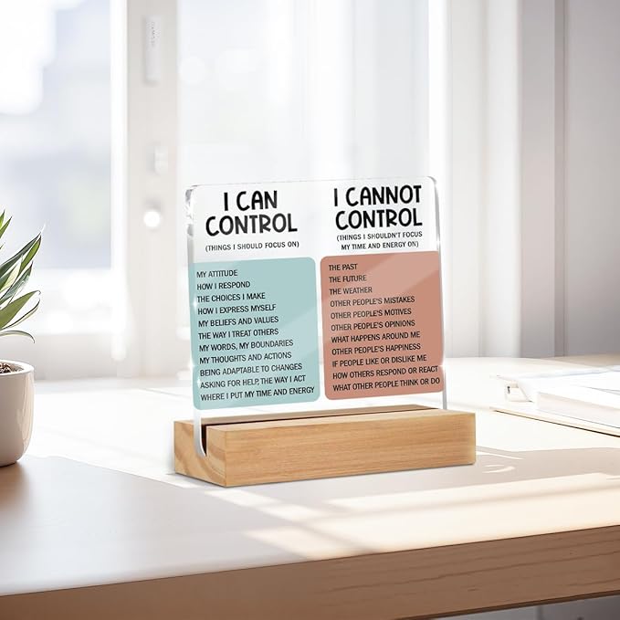 Mental Health Desk Decor Things I Can Control Acrylic Sign, Inspirational Gifts - Image 3