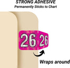 2026 Chart Stickers, Holographic Fuchsia, End Tab, 3/4 x 1-1/2, 500/Roll | Doctor Stuff 26 Year Stickers & Labels, Permanent-Adhesive USA Made to Stay Put for the Life of the Chart
