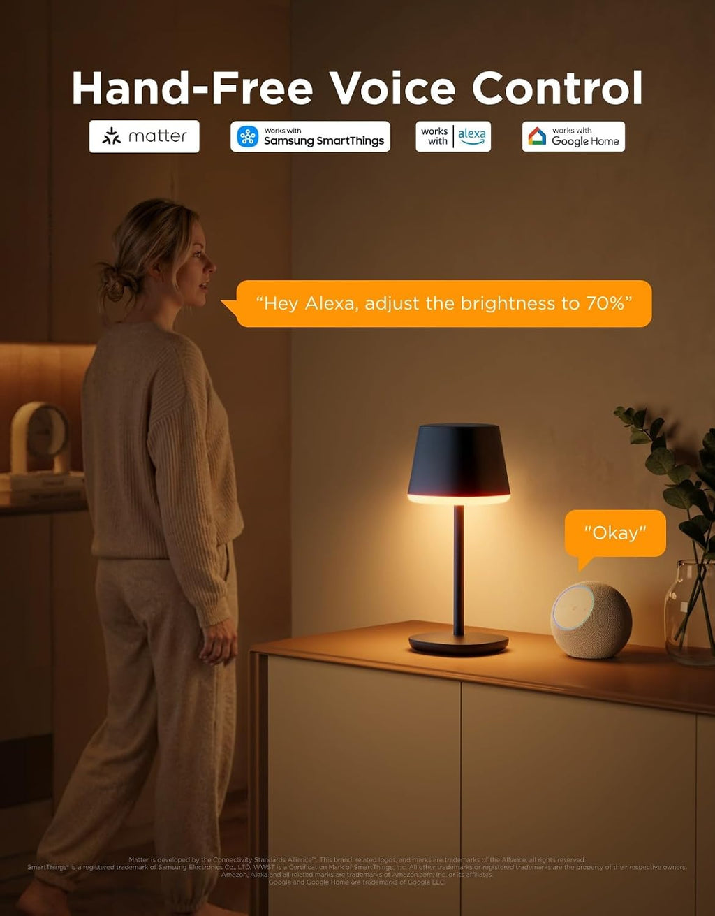govee smart cordless table lamp classic (no adapter) on a desk or shelf