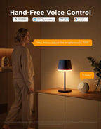 govee smart cordless table lamp classic (no adapter) on a desk or shelf
