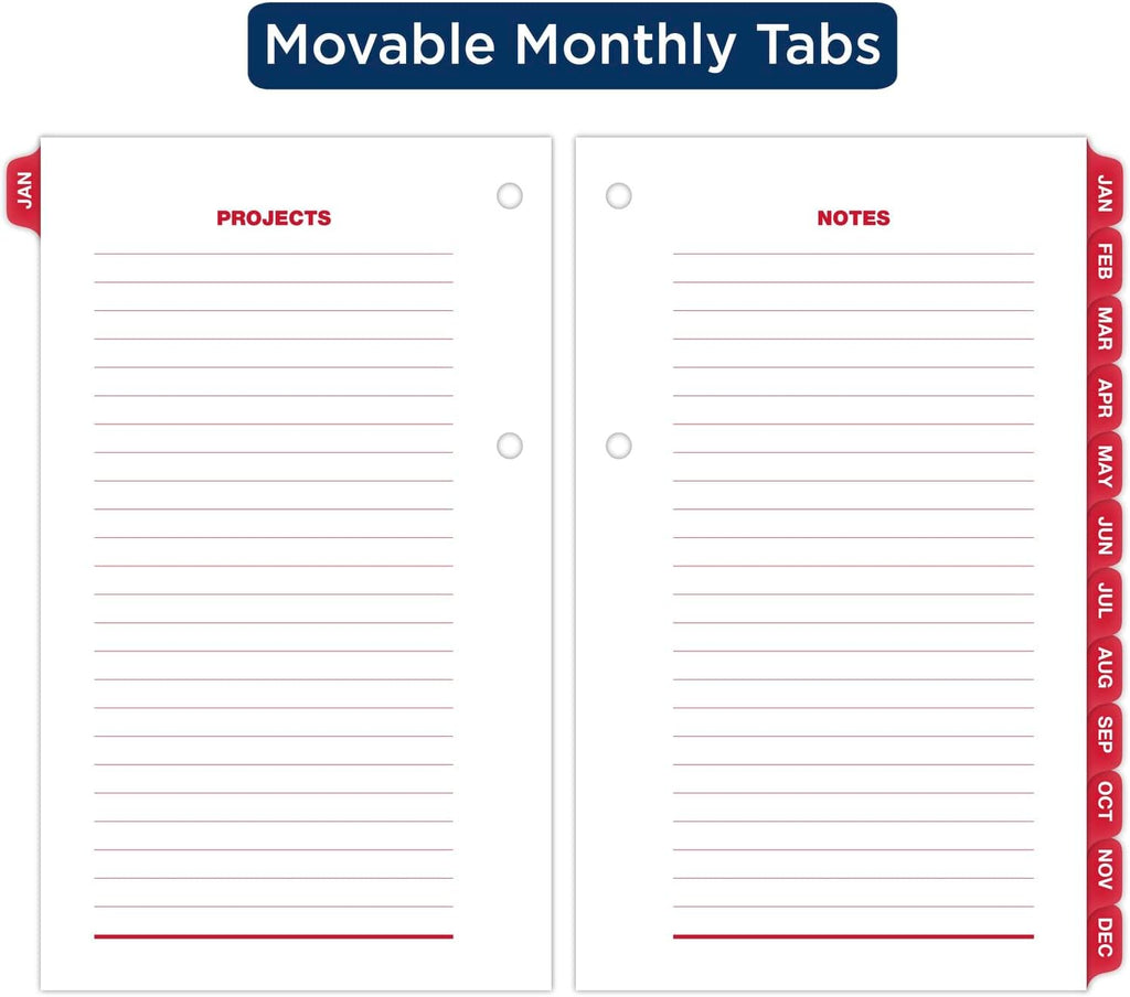 AT-A-GLANCE 2024 Daily Desk Calendar Refill, 3-1/2" x 6", Standard, Loose-Leaf, with Monthly Tabs (E717T5024)