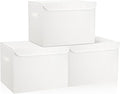 Bagnizer Large 17" 42 Quarts Collapsible Stackable Storage Bins by Bagnizer
