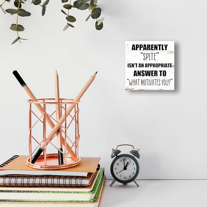 Office Wooden Box Sign Spite Isn't An Appropriate Answer 5x5x1 INCH Sign - Image 6