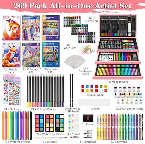 art supplies, 269 piece deluxe art set crafts shown in use