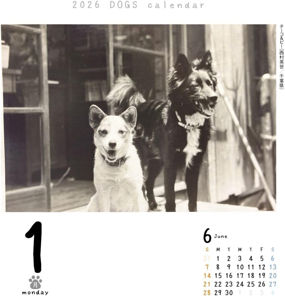 Inu Mekuri 2026 Calendar Refill, Daily CK-D26-02