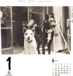 Inu Mekuri 2026 Calendar Refill, Daily CK-D26-02