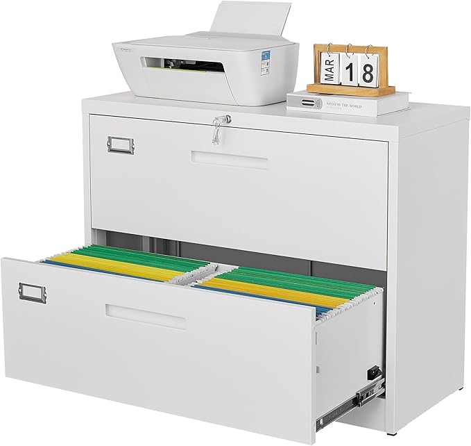 Letaya 2 Drawer Metal Filing Organization Office Cabinets by LetayaMetalCabinets