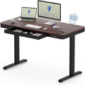 FLEXISPOT Comhar 48" Electric Standing Desk by FlexiSpot