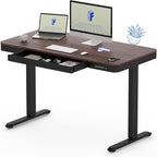 FLEXISPOT Comhar 48" Electric Standing Desk by FlexiSpot