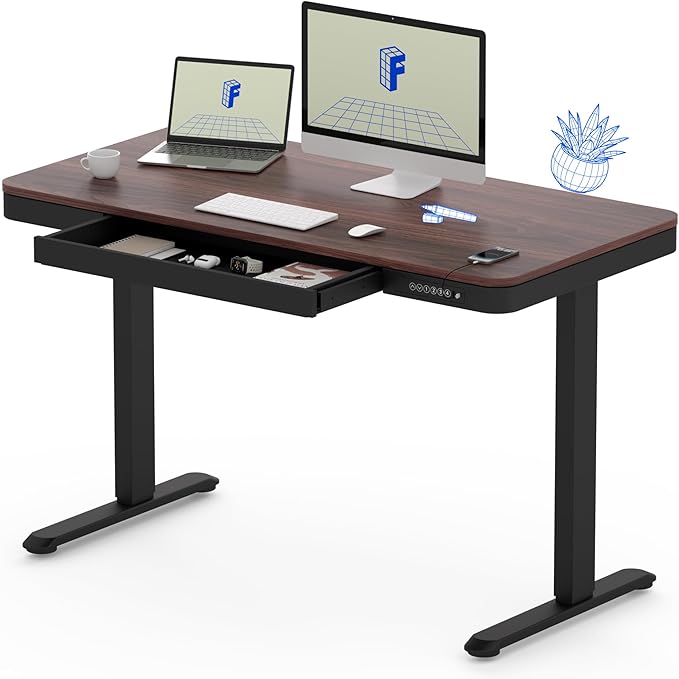 FLEXISPOT Comhar 48" Electric Standing Desk by FlexiSpot