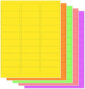 THEBLUETOUCH 1" x 2-5/8" Neon Labels – 750 pcs Printable Labels Stickers by THEBLUETOUCH
