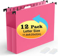Shutex Extra Capacity Plastic Hanging File Folders, 12 Pack Reinforced by Shutex