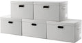 PRANDOM Large Collapsible Storage Containers