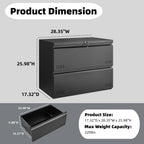 Approgreent 2 Drawer File Cabinet, File Cabinets for Home Office, Printer Stand, File Cabinet with Lock, Lateral Filing Cabinet for A4/Letter/Legal Size File Folders, Assembly Required(Black)