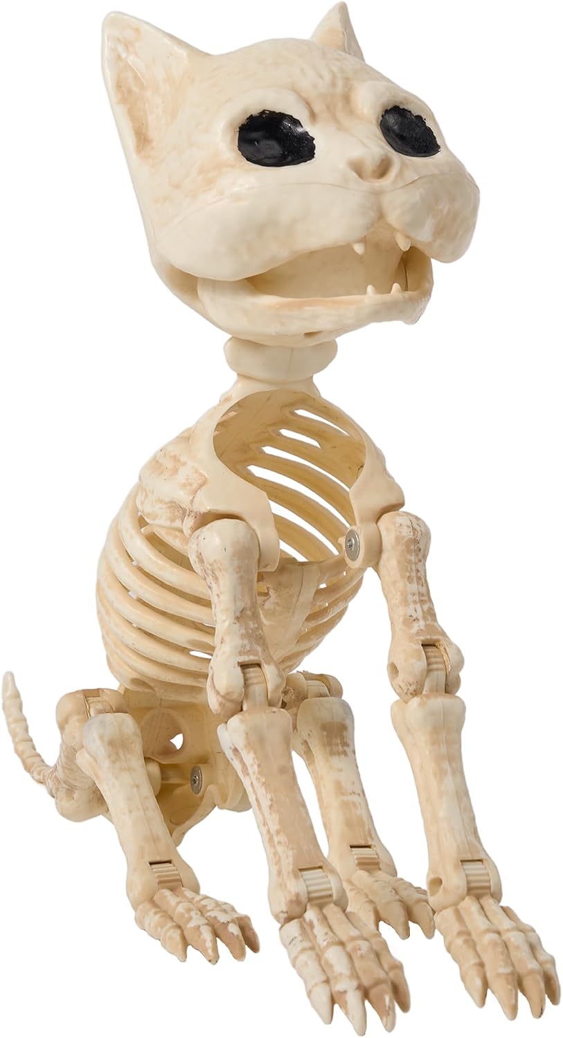 JOYIN Cat Skeleton Halloween Decorations 8 Inch Plastic Animal Skeletons with...
