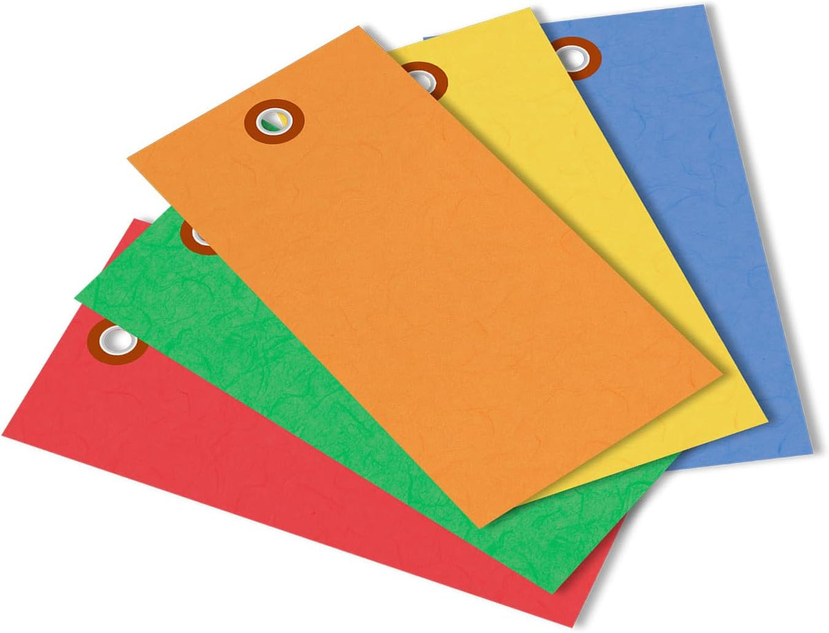 SmartSign 4.75 x 2.375 inch Multi Colored Blank Tyvek Shipping Tags