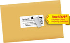 Avery Shipping Labels, 2" x 4", White, 250 Labels | Sure Feed Technology | Pack of 2 | Model 8163