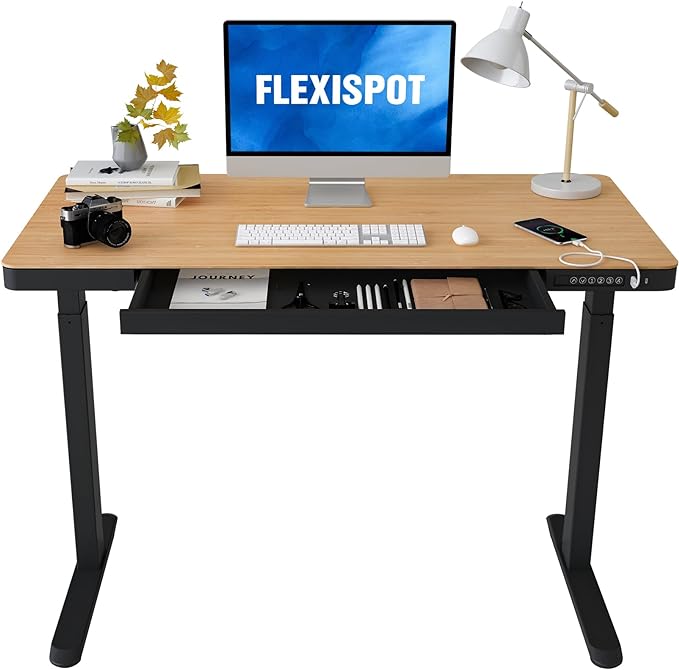 FLEXISPOT Electric Standing Desk by FlexiSpot