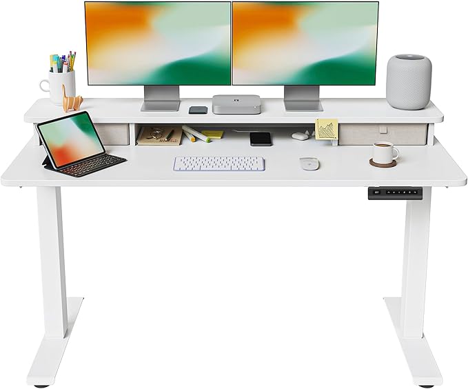 FEZIBO 55 x 24 Inch Height Adjustable Electric Standing Desk by FEZIBO