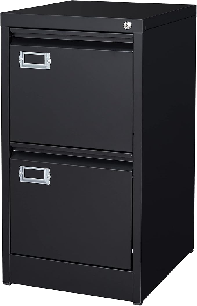 BYNSOE 2 Drawer File Cabinet by BYNSOE