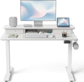 FEZIBO 40 x 24 Inch Height Adjustable Electric Standing Desk by FEZIBO