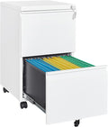 Letaya 2 Drawer Mobile File Cabinet by LetayaMetalCabinets