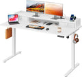 DEVAISE 55×28 Inch Electric Standing Desk by DEVAISE