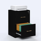 GFGWXW 2 Drawer Vertical File Cabinet - Image 3