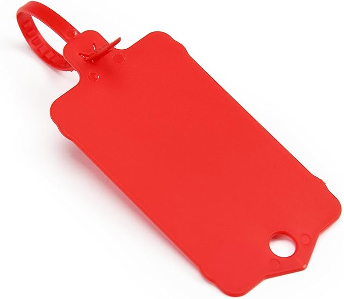 100pcs Blank Plastic Tags for Labeling Reusable Hanging Tags Ties Key Tag - Image 5