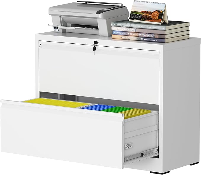 mysteeldepot 2 Drawer Lateral File Cabinet by Unknown