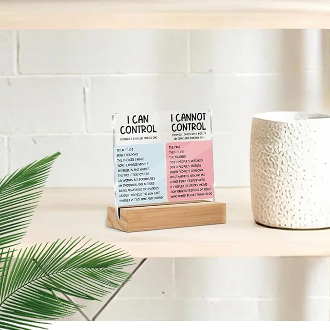 Mental Health Desk Decor Things I Can Control Acrylic Sign, Inspirational Gifts - Image 5