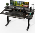 Kingant 63 x 30 Inch Electric Standing Desk