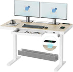 ERGO COLLECT Electric Standing Desk 48 Inch