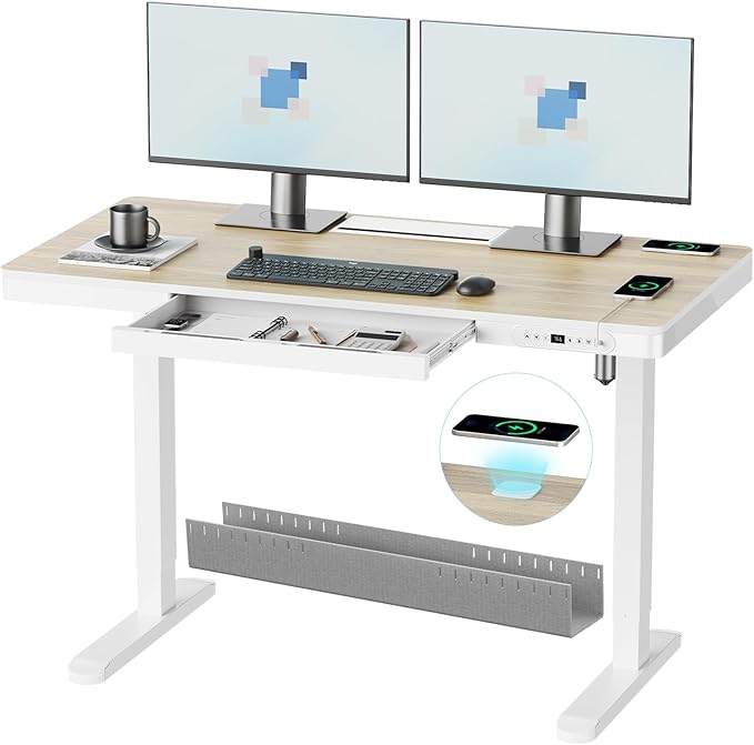 ERGO COLLECT Electric Standing Desk 48 Inch by ERGOCOLLECT