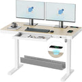 ERGO COLLECT Electric Standing Desk 48 Inch by ERGOCOLLECT