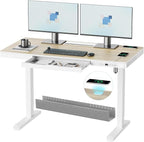 ERGO COLLECT Electric Standing Desk 48 Inch by ERGOCOLLECT