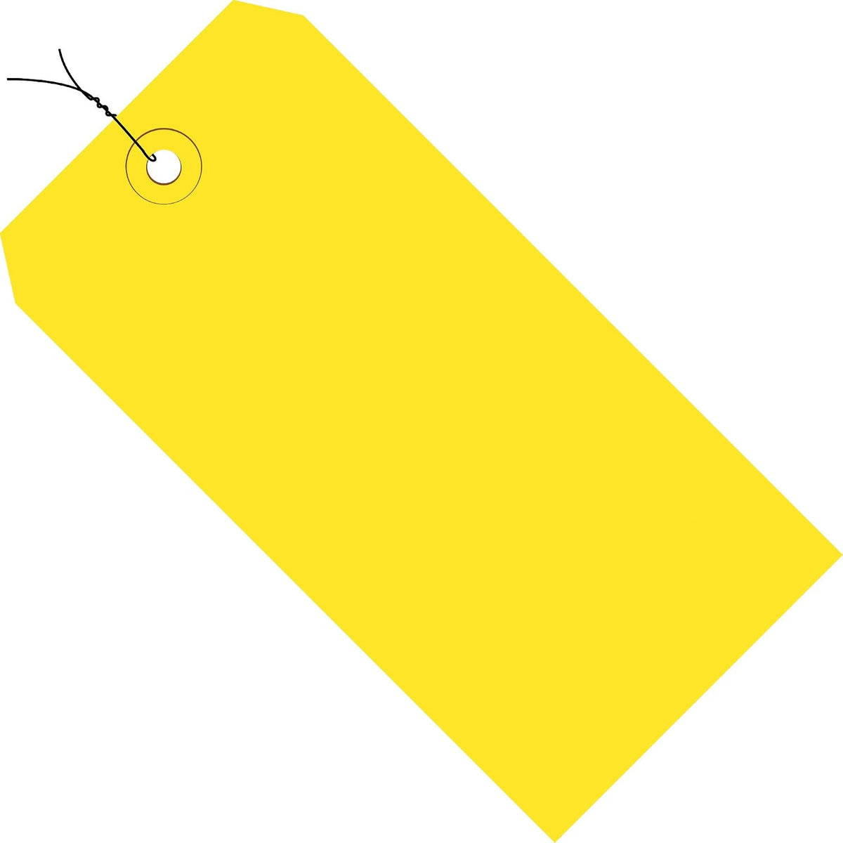 Aviditi Wired Shipping Tags, 4 3/4" x 2 3/8", 13 Pt,
