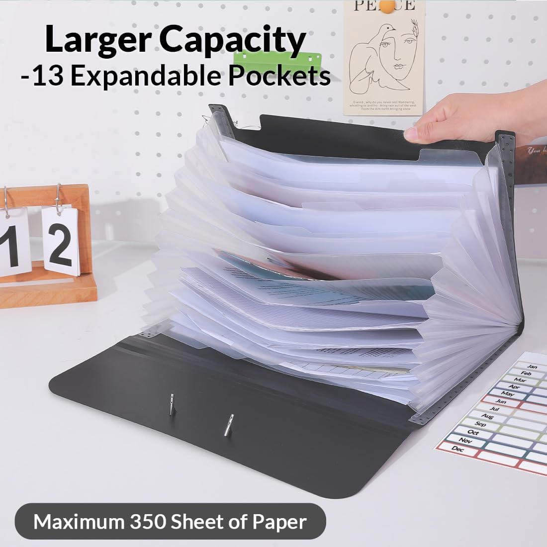 SKYDUE Expanding File Folde rwith 13 Pockets, Accordion File Organizer fits for A4/Letter Sized Paper, Accordion Folder with Labels - Document Receipt Organizer for Office, School, Home Blak