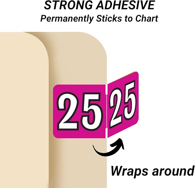 2025 Year Stickers, Doctor Stuff 2025 Chart Stickers, Fuchsia/Black Color Coded - Image 3