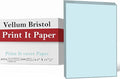 Print It - Vellum Bristol Colored Cardstock Cover Paper, 67 Lb, 8.5" X 11” by Unknown