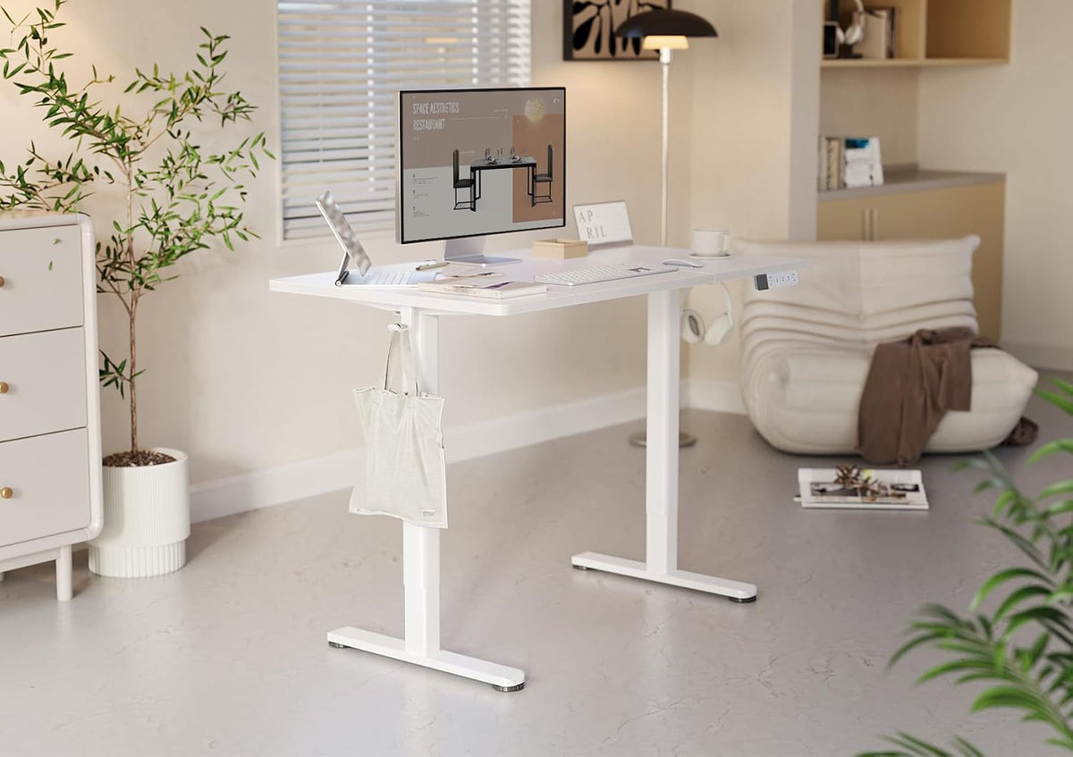 YDN 63 x 24 Inch White Electric Standing Desk