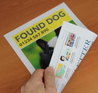 PPD Double Sided Photo Paper, Matte Brochure Paper 13 x 19 - Image 3